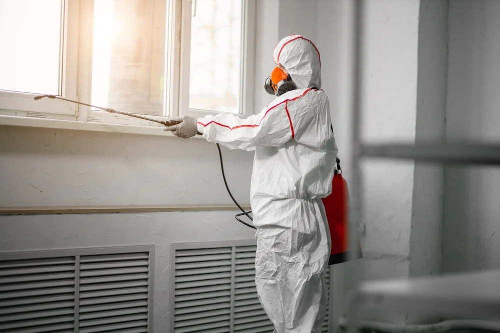 Professional mold remediation services in Princeton, NJ